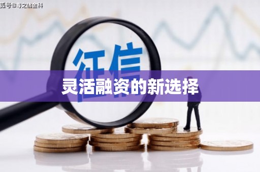 新屋灵活融资的新选择