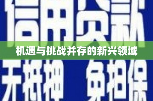 新屋机遇与挑战并存的新兴领域