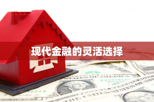 新屋现代金融的灵活选择