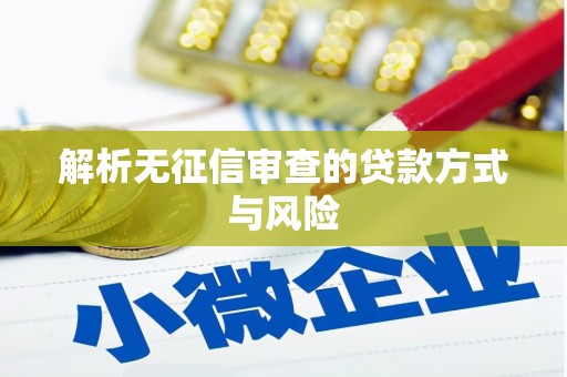 新屋解析无征信审查的贷款方式与风险