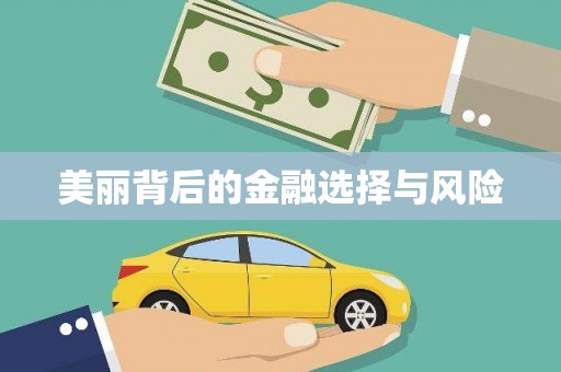 新屋美丽背后的金融选择与风险