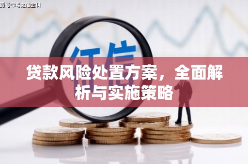 新屋贷款风险处置方案，全面解析与实施策略