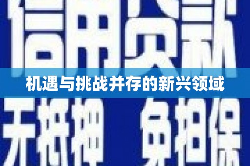 新屋机遇与挑战并存的新兴领域
