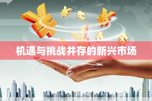 新屋机遇与挑战并存的新兴市场