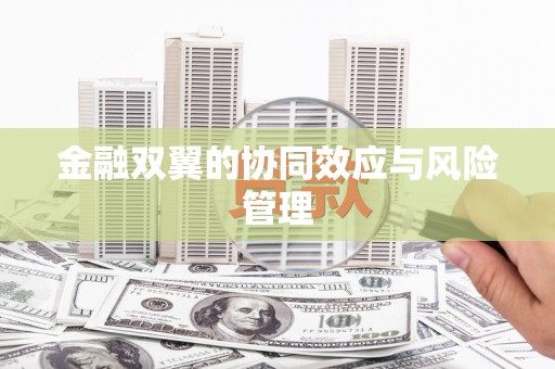 新屋金融双翼的协同效应与风险管理