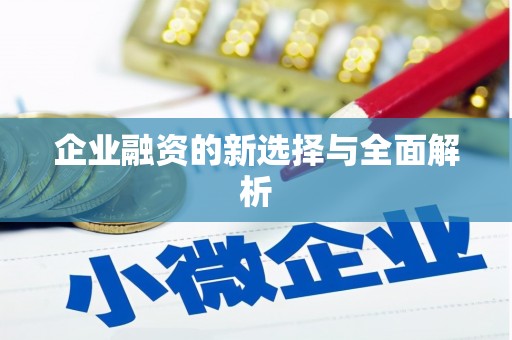 新屋企业融资的新选择与全面解析