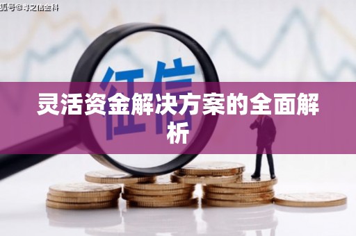 新屋灵活资金解决方案的全面解析