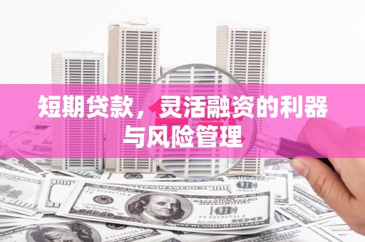 新屋短期贷款，灵活融资的利器与风险管理