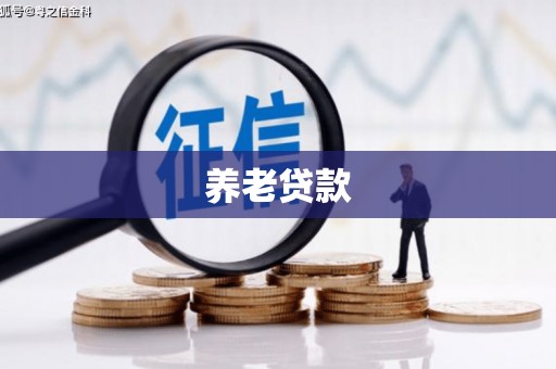 新屋养老贷款