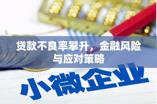 新屋贷款不良率攀升，金融风险与应对策略